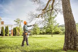 How Our Tree Care Process Works  in  Burnettown, SC